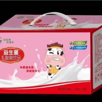 帅盾益生菌乳酸菌饮品